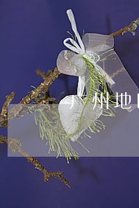 广州地区有经验的婚姻房产律师 广州地区有经验的婚姻房产律师