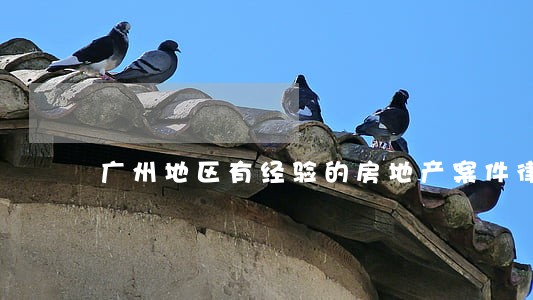 广州地区有经验的房地产案件律师 广州地区有经验的房地产案件律师