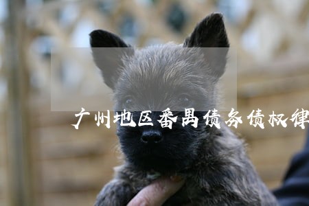 广州地区番禺债务债权律师 广州地区番禺债务债权律师