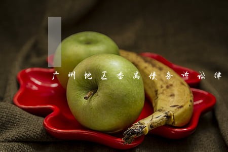 广州地区番禺债务诉讼律师 广州地区番禺债务诉讼律师