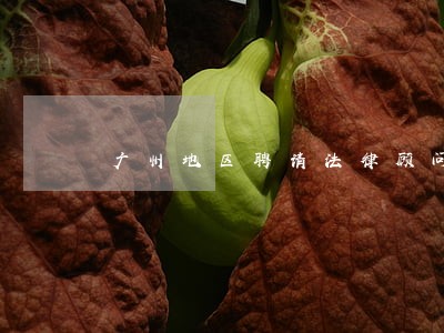 广州地区聘请法律顾问 广州地区聘请法律顾问