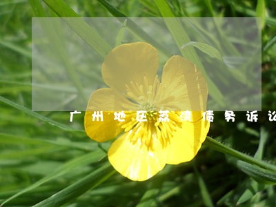 广州地区荔湾债务诉讼律师 广州地区荔湾债务诉讼律师