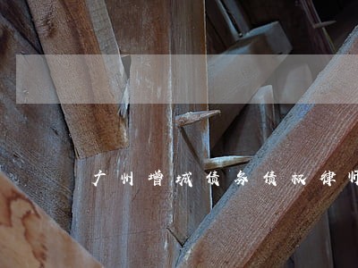 广州增城债务债权律师 广州增城债务债权律师