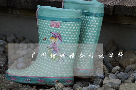 广州增城债务协议律师 广州增城债务协议律师