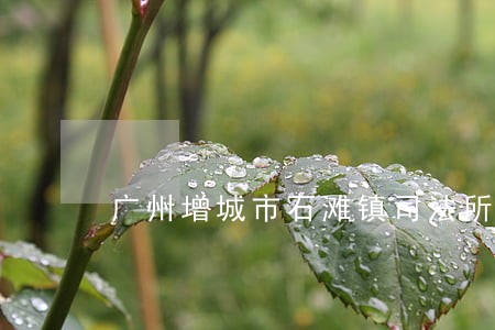 广州增城市石滩镇司法所 广州增城市石滩镇司法所