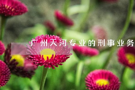 广州天河专业的刑事业务律师 广州天河专业的刑事业务律师
