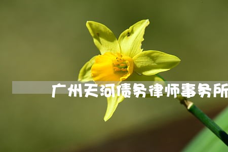 广州天河债务律师事务所 广州天河债务律师事务所