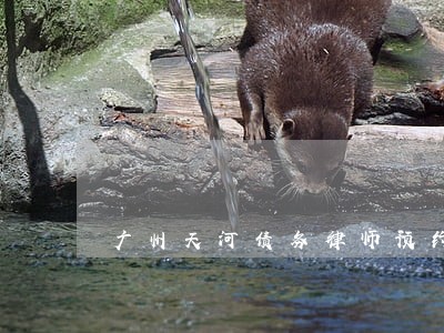 广州天河债务律师预约面谈 广州天河债务律师预约面谈
