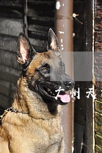 广州天河办理民事纠纷律师费用 广州天河办理民事纠纷律师费用