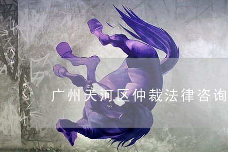 广州天河区仲裁法律咨询 广州天河区仲裁法律咨询