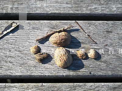 广州天河区债务执行律师预约电话 广州天河区债务执行律师预约电话