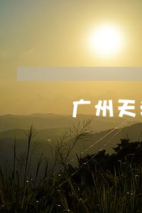 广州天河区债务案子律师免费咨询 广州天河区债务案子律师免费咨询