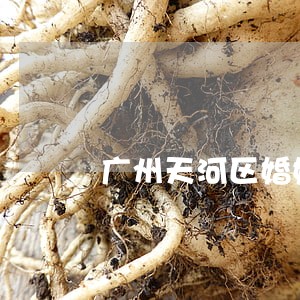 广州天河区婚姻律师网站 广州天河区婚姻律师网站