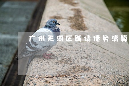 广州天河区聘请债务清算律师 广州天河区聘请债务清算律师