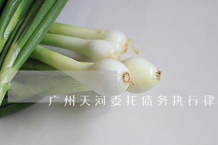 广州天河委托债务执行律师电话 广州天河委托债务执行律师电话