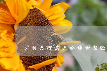 广州天河房产律师哪家强 广州天河房产律师哪家强