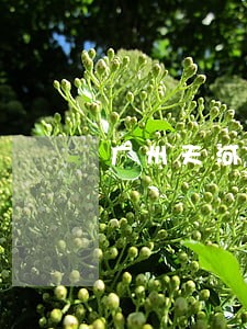 广州天河故意伤害罪律师推荐 广州天河故意伤害罪律师推荐