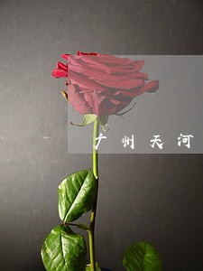 广州天河法院上班时间 广州天河法院上班时间