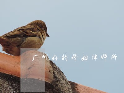 广州好的婚姻律师所