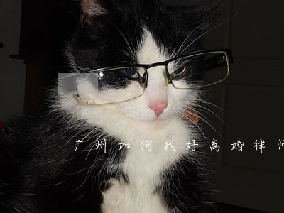 广州如何找好离婚律师 广州如何找好离婚律师