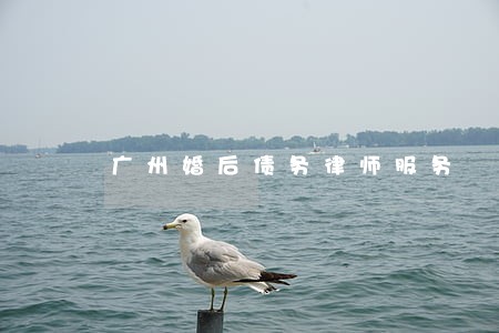 广州婚后债务律师服务 广州婚后债务律师服务