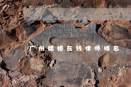 广州婚姻在线律师排名 广州婚姻在线律师排名