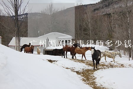 广州婚姻家事律师多少钱专业执着 广州婚姻家事律师多少钱专业执着