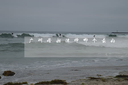广州婚姻律师哪个最好 广州婚姻律师哪个最好