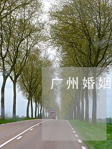 广州婚姻律师费用 广州婚姻律师费用