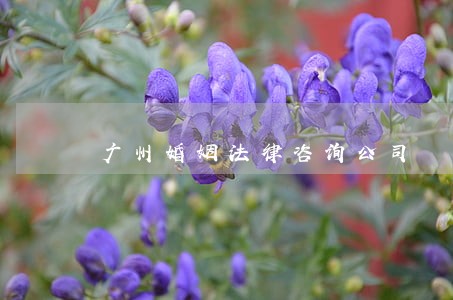 广州婚姻法律咨询公司 广州婚姻法律咨询公司