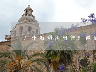 广州婚姻纠纷律师微信咨询 广州婚姻纠纷律师微信咨询