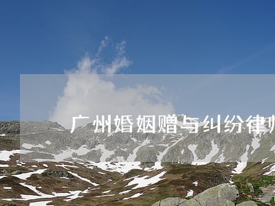 广州婚姻赠与纠纷律师 广州婚姻赠与纠纷律师
