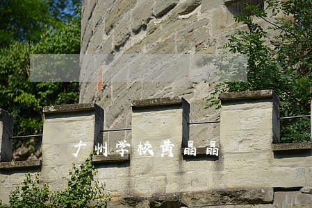 广州学校黄晶晶 广州学校黄晶晶