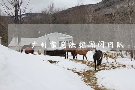 广州家庭法律顾问团队 广州家庭法律顾问团队