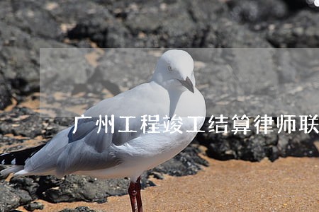 广州工程竣工结算律师联系方式 广州工程竣工结算律师联系方式