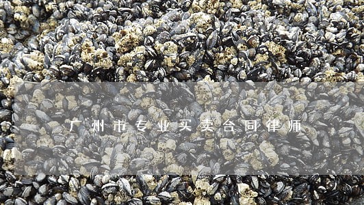 广州市专业买卖合同律师 广州市专业买卖合同律师