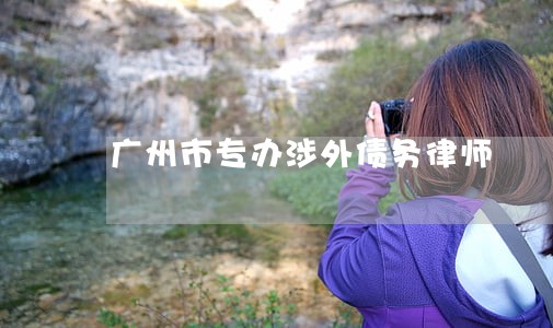 广州市专办涉外债务律师 广州市专办涉外债务律师