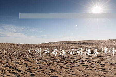 广州市专注公司债务律师 广州市专注公司债务律师