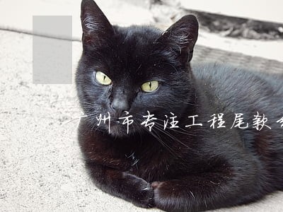 广州市专注工程尾款纠纷律师 广州市专注工程尾款纠纷律师