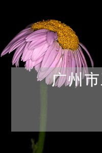 广州市互联网法院案号