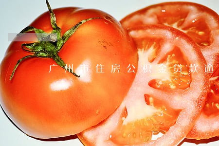 广州市住房公积金贷款逾期 广州市住房公积金贷款逾期