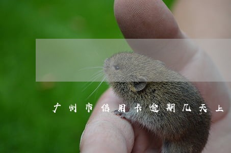 广州市信用卡逾期几天上征信 广州市信用卡逾期几天上征信