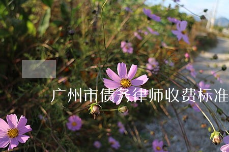 广州市债务律师收费标准 广州市债务律师收费标准