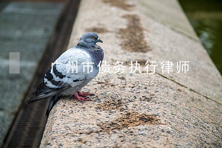 广州市债务执行律师 广州市债务执行律师