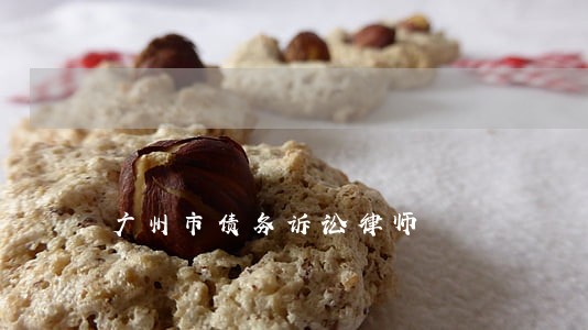 广州市债务诉讼律师 广州市债务诉讼律师