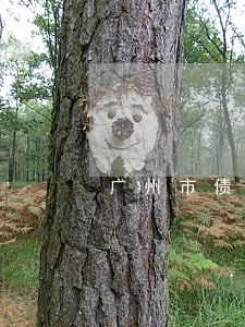 广州市债务诉讼律师电话 广州市债务诉讼律师电话