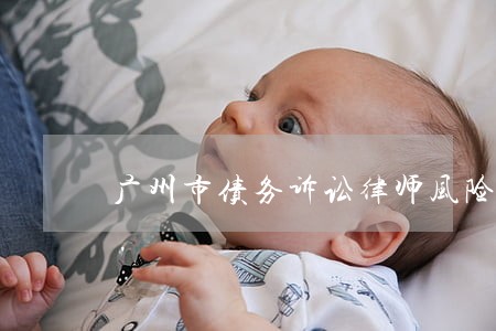 广州市债务诉讼律师风险代理 广州市债务诉讼律师风险代理