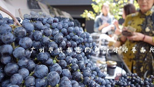广州市债务违约纠纷律师事务所 广州市债务违约纠纷律师事务所