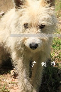 广州市免费法律咨询中心 广州市免费法律咨询中心
