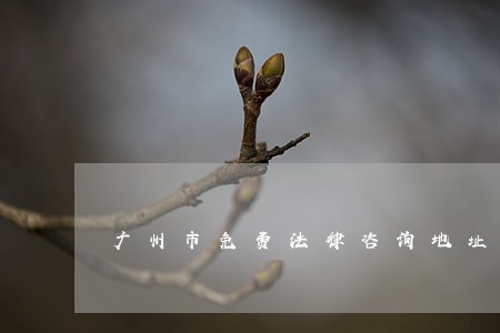 广州市免费法律咨询地址 广州市免费法律咨询地址